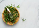 benefits of rosemary essential oil