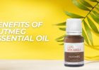 Benefits of Nutmeg Essential Oil