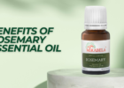 Benefits of Rosemary Essential Oil